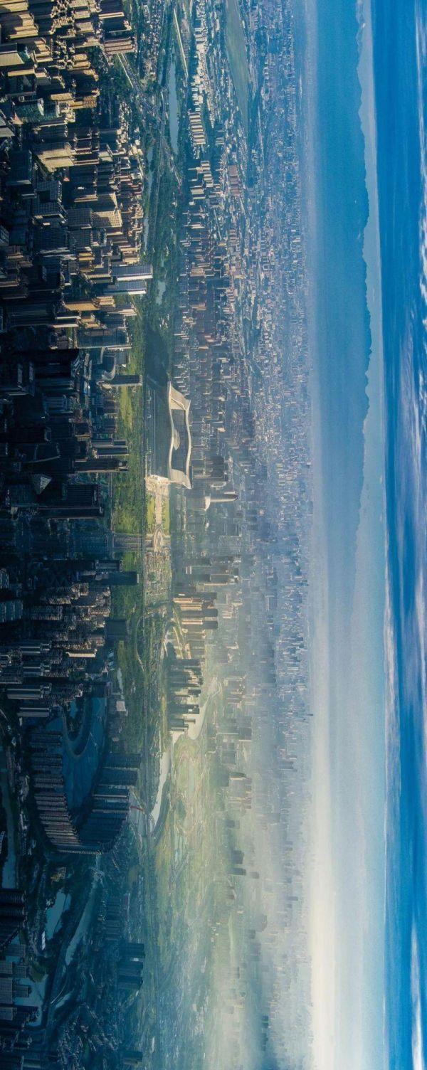 水井坊1号菌群,水井坊一号