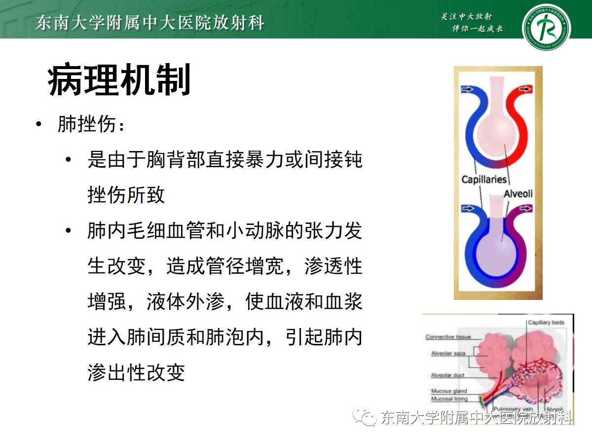 好文分享最新,好文分享重磅完整版