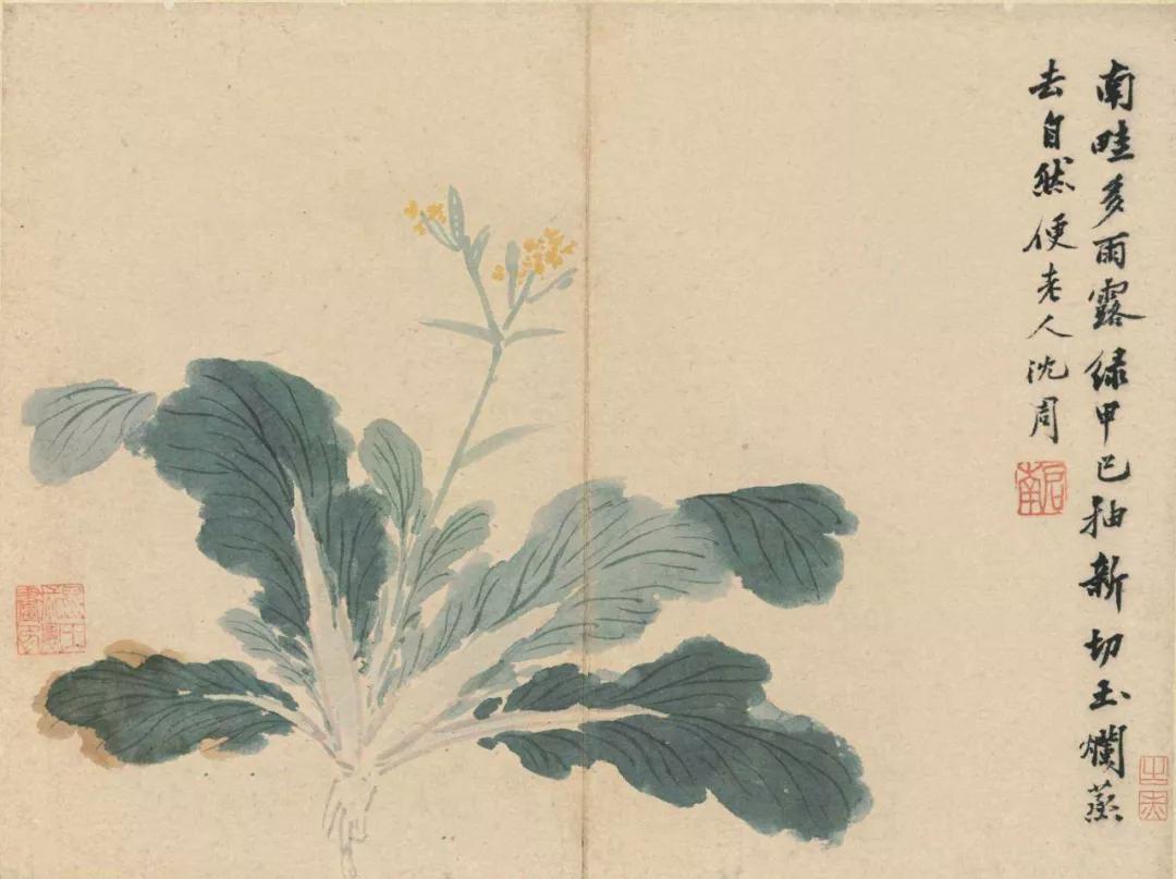 28岁就躺平，晚年被封神