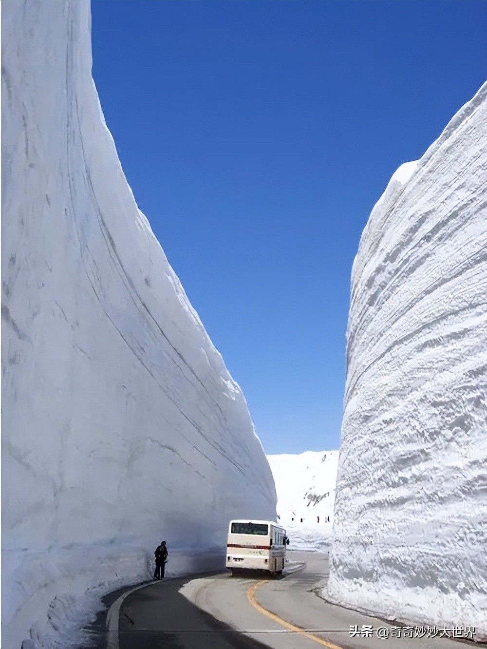 28张图看世界，欧洲贵妇的小便神器，在挪威“当官”的企鹅