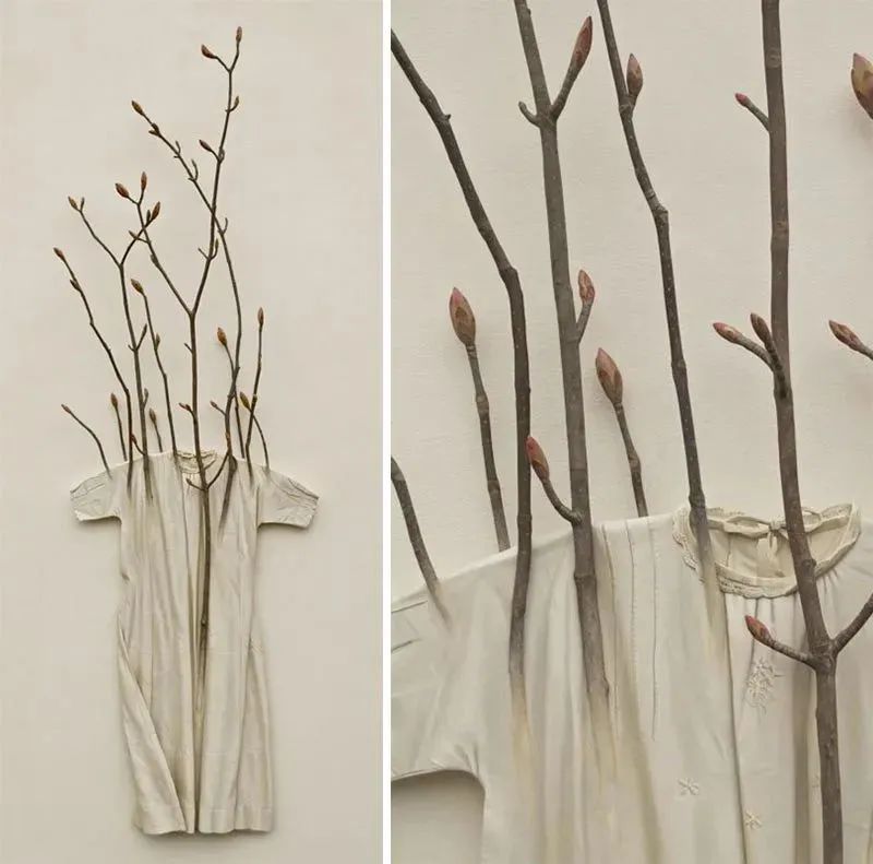 鑰佸厛鐢熼洉濉戜綔鍝佹璧忓浘,鑰佷汉闆曞鎯婅壋涓栦汉