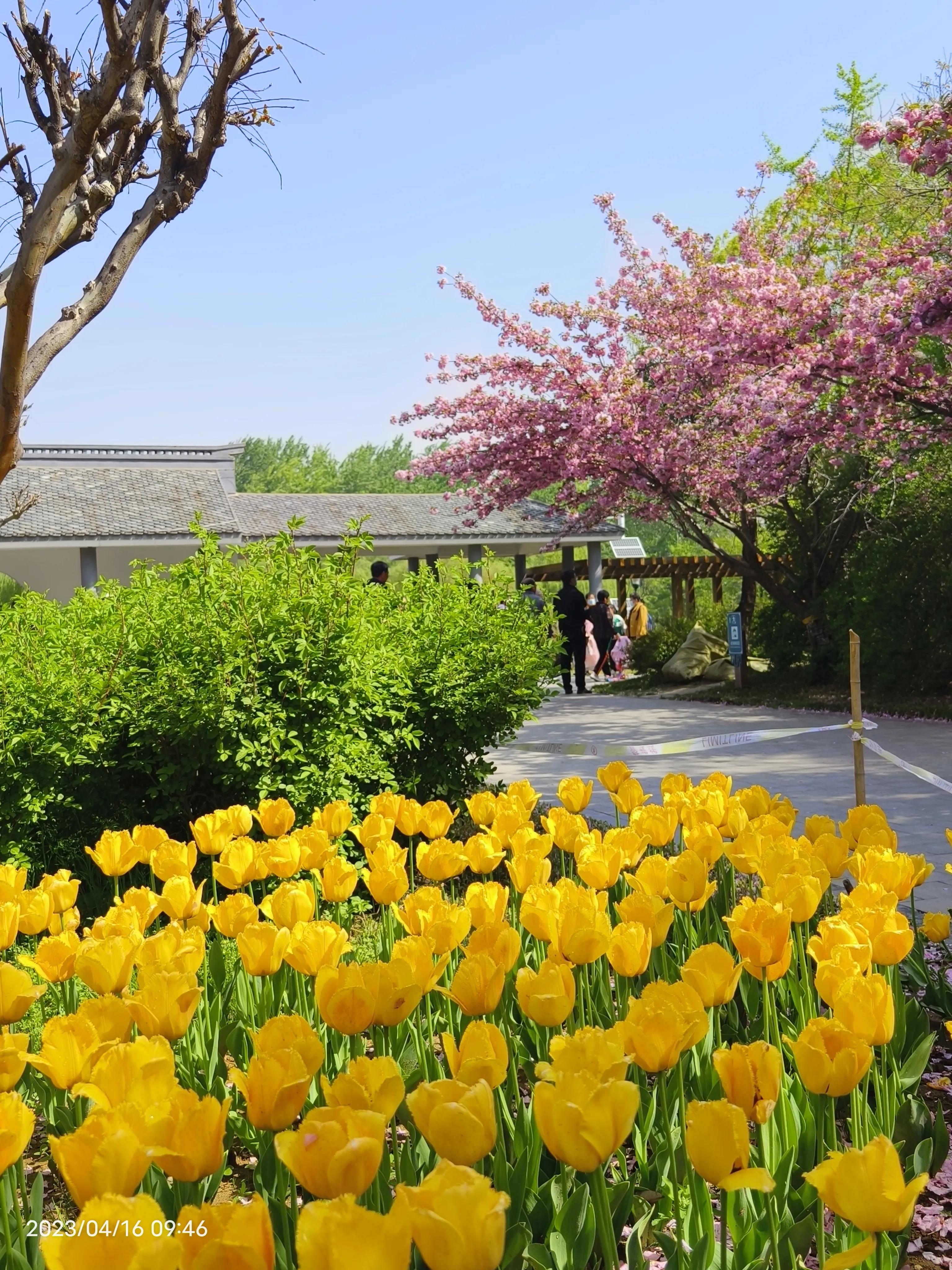 魔方顶面恢复,魔方小站还原黄色顶面