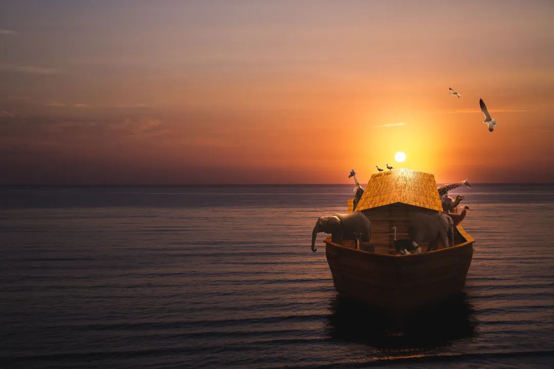 huggingface怎么做下游任务,huggingface上的模型怎么使用