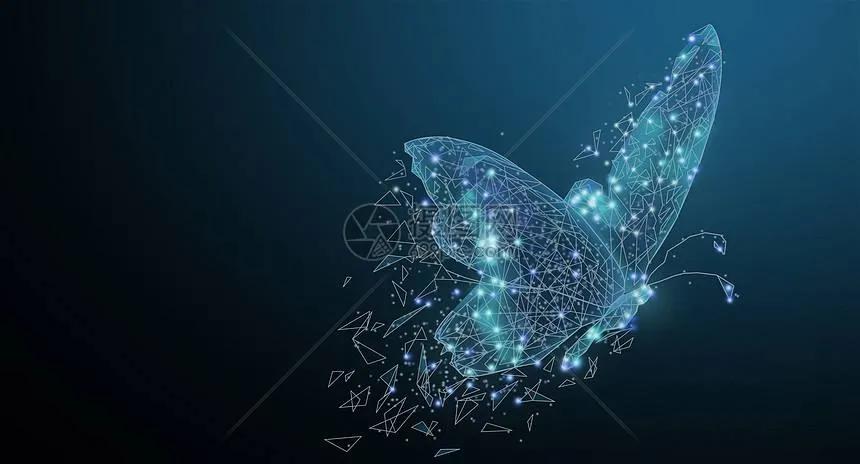 “蝴蝶无效应”不要因为生活中小事击垮自己