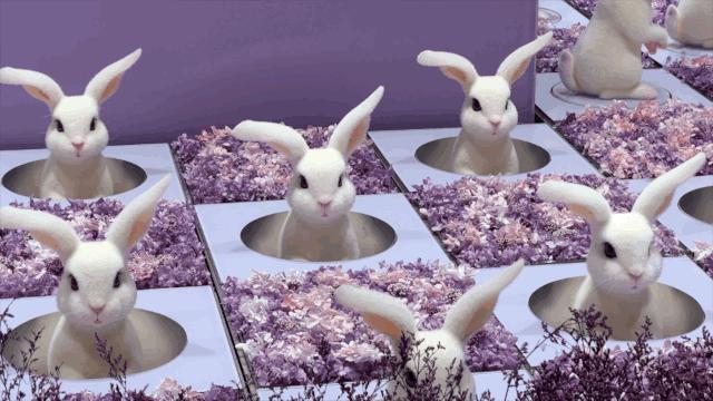 北京dt51商场,北京大屯dt51商场开业时间