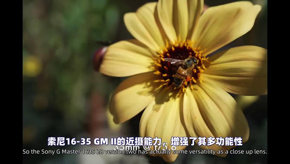 索尼16-55f2.8镜头拍视频效果,索尼16-55mmf2.8拍照片效果怎么样