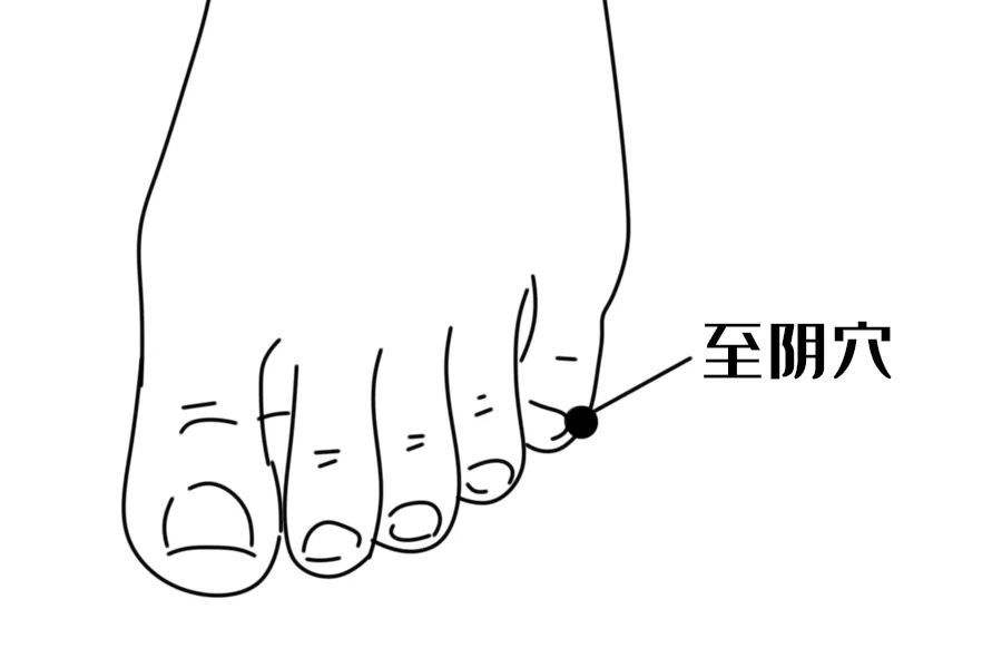 除湿气补气血最快的动作,气血下行需要按哪个足底穴位