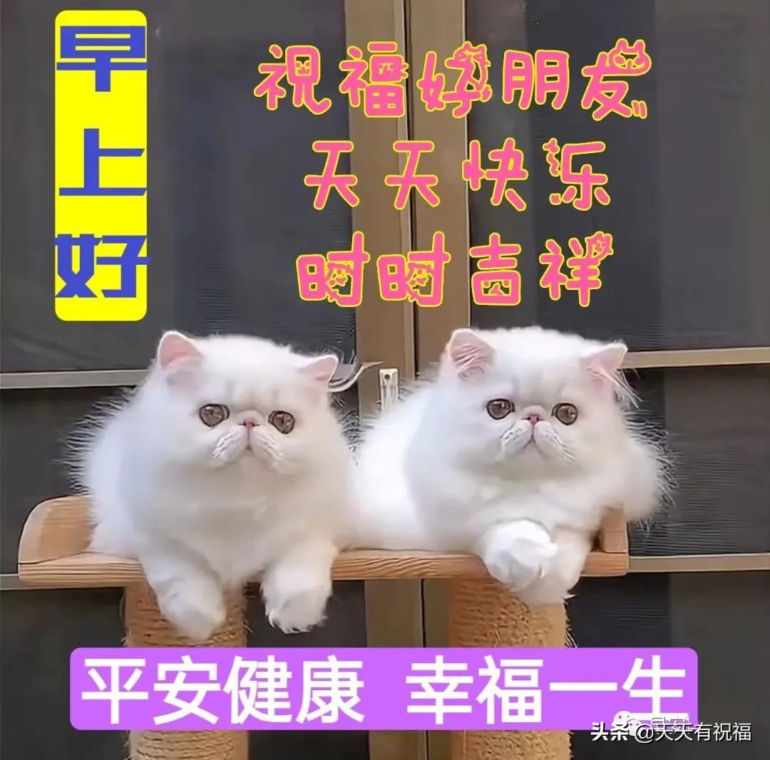 最漂亮早安问候语带字图片大全,早安问候语超漂亮图片带字