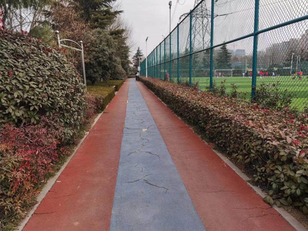 青岛城阳区城市更新专项规划,城市公园恢复改造实践方案