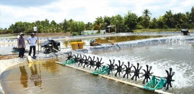 盐在水产养殖中的妙用,白醋和盐的妙用有哪些