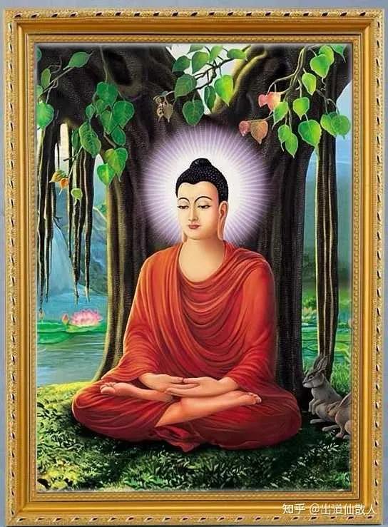 师傅说缘起缘落,师傅说缘浅的人去不了普陀山