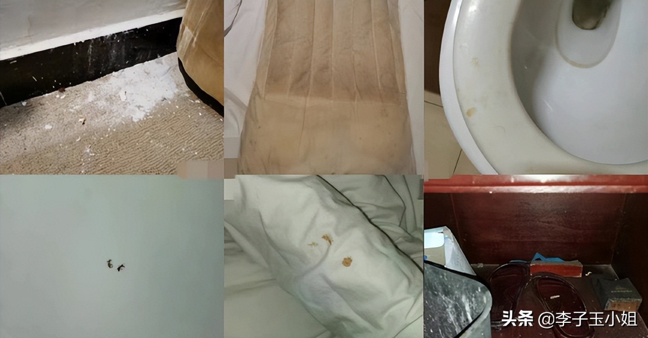 上海高校为返乡隔离学生报销,上海大学生返乡隔离要钱吗