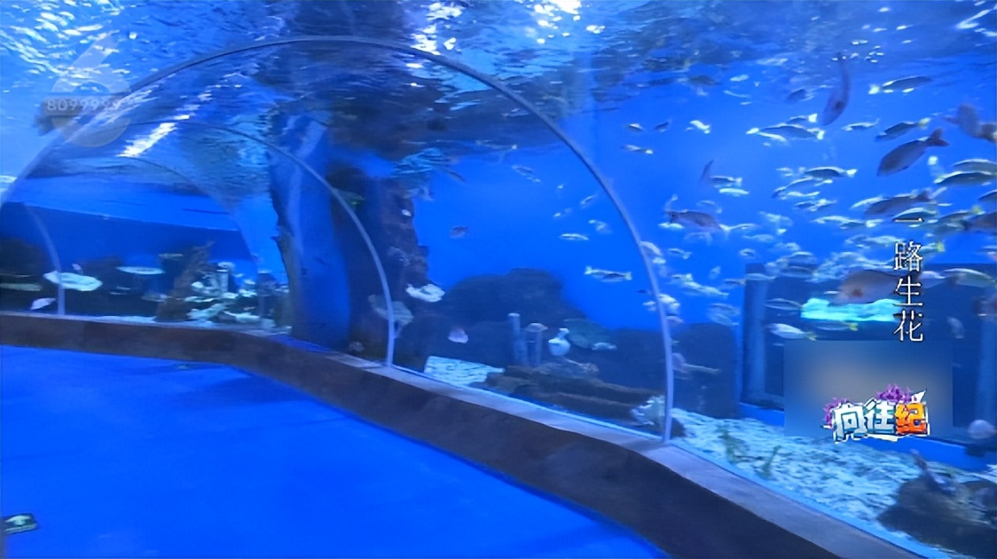 盘点人们都向往的工作,向往的工作和现实的工作