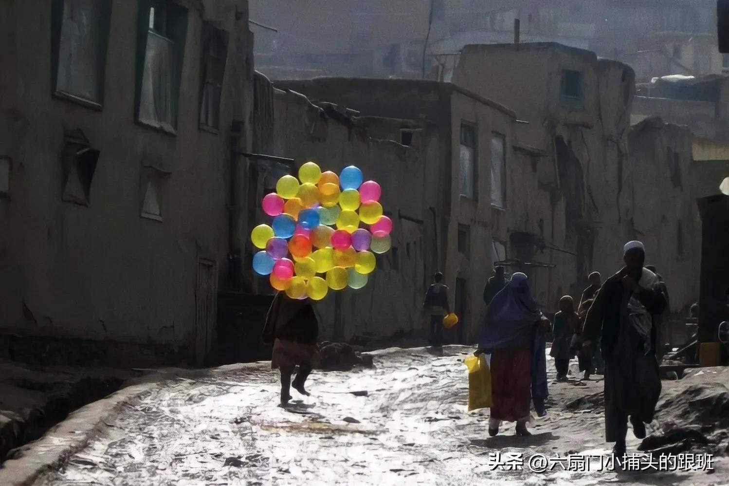 懂懂日记,懂懂日记全集完整版