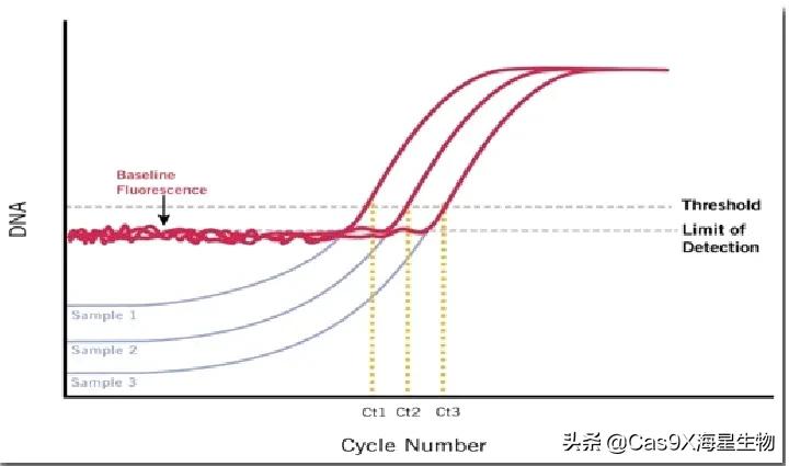 实时荧光定量pcr检测乙肝参考值,实时荧光定量pcr试剂盒