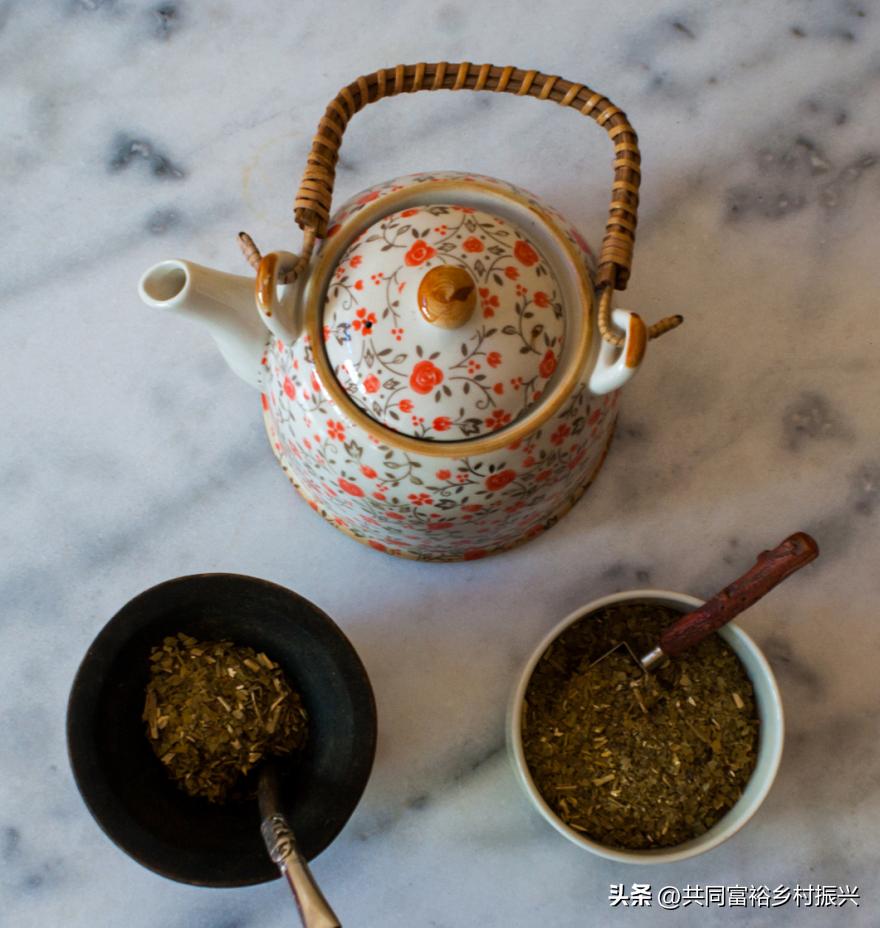 世界十大最顶尖的农产品强国,世界十大新型农业产品