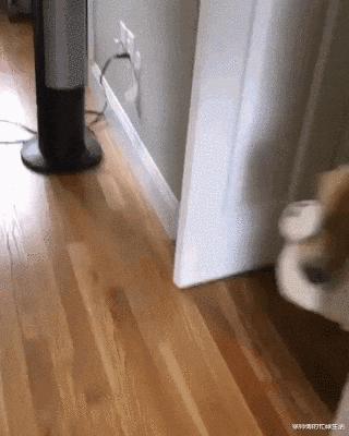 女生夏天穿靴子脚不臭吗,女生的脚和男生的脚哪个臭