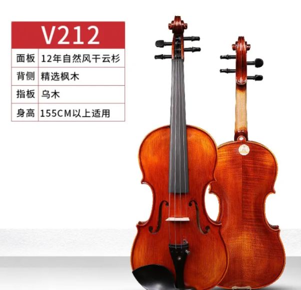1万左右小提琴推荐,价位500左右的小提琴初学者