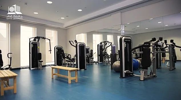 德国对阿根廷球队,德国对阿根廷