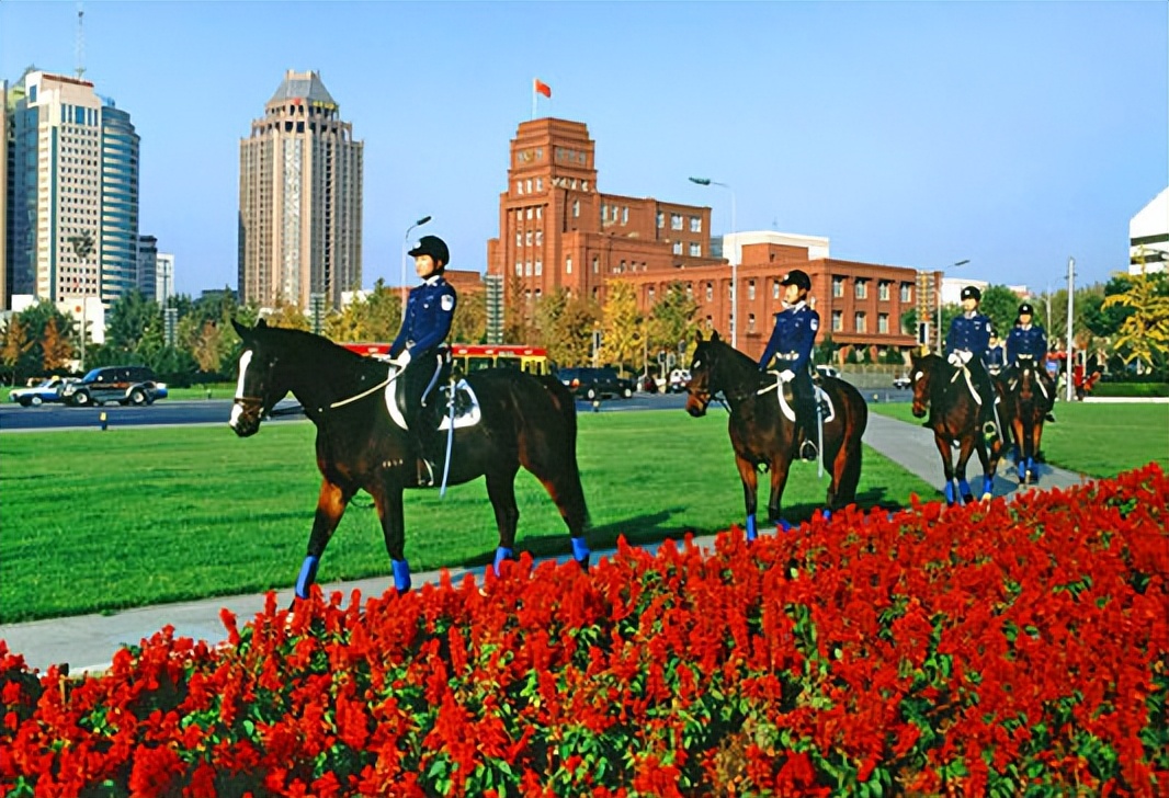 大连旅游攻略住宿推荐,大连旅游攻略三天游哪个岛好