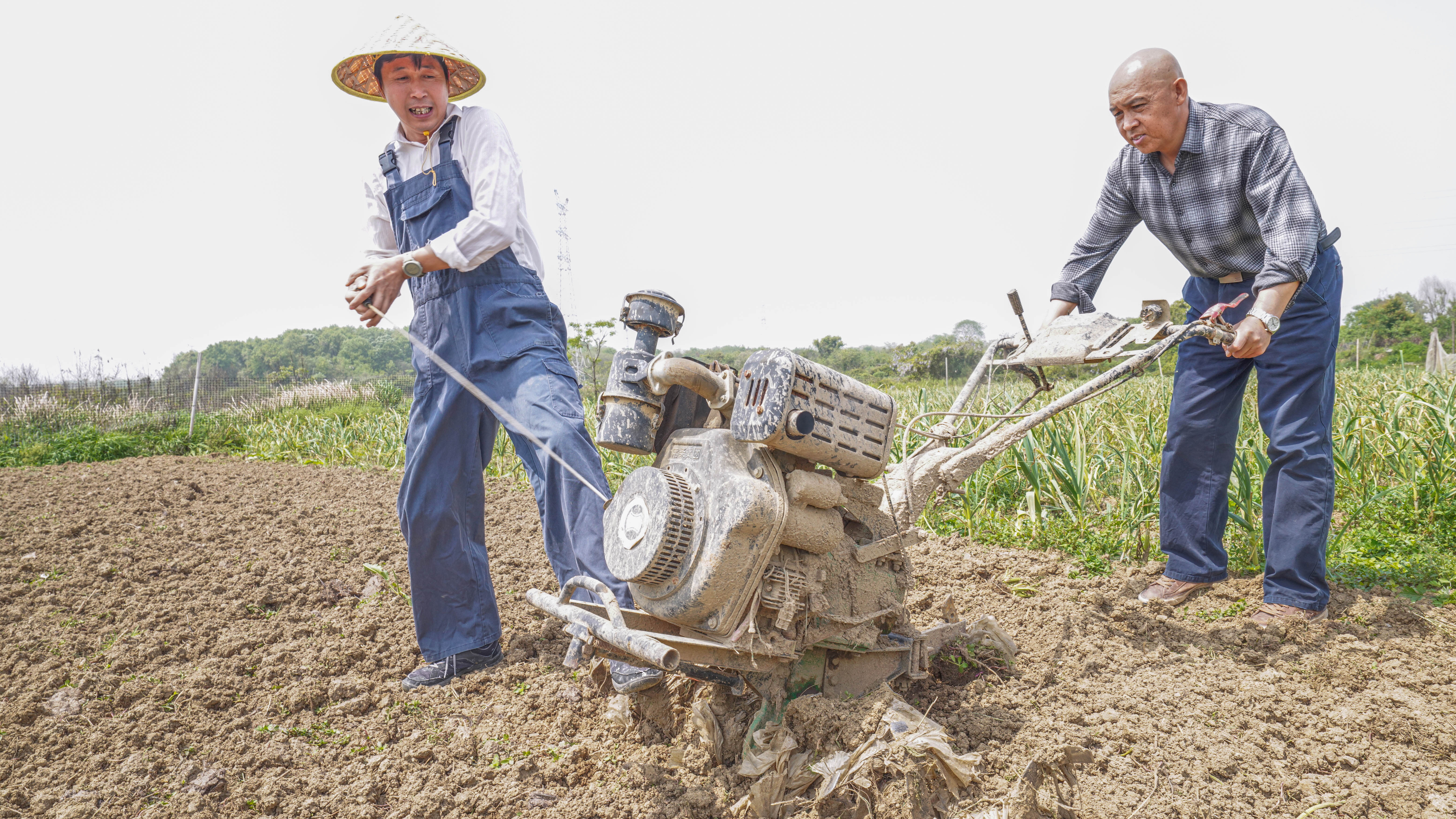 走近土专家|小农夫有大理想，他要种出更多好看好吃不用药的生态菜