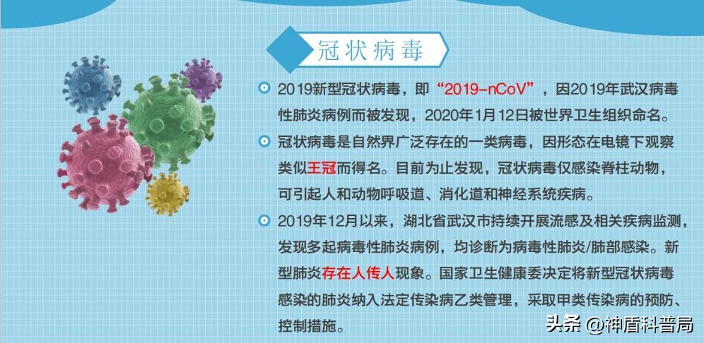 假如全球爆发新冠病毒,假如全国疫情结束会发生什么