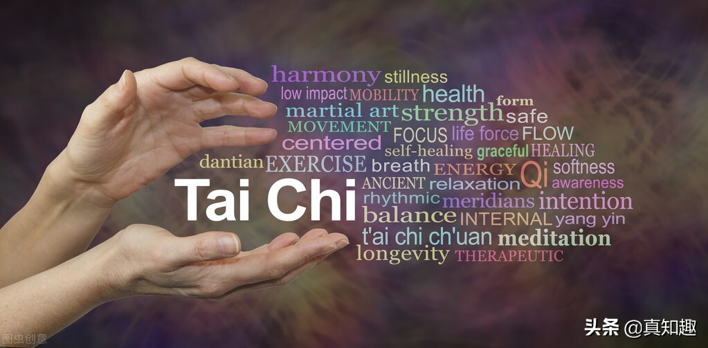 八十五式杨氏太极拳推手下势分解,陈式太极拳单推手教学