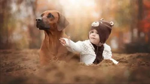 怀孕后养宠物的危害有哪些,孕早期养宠物有哪些危害