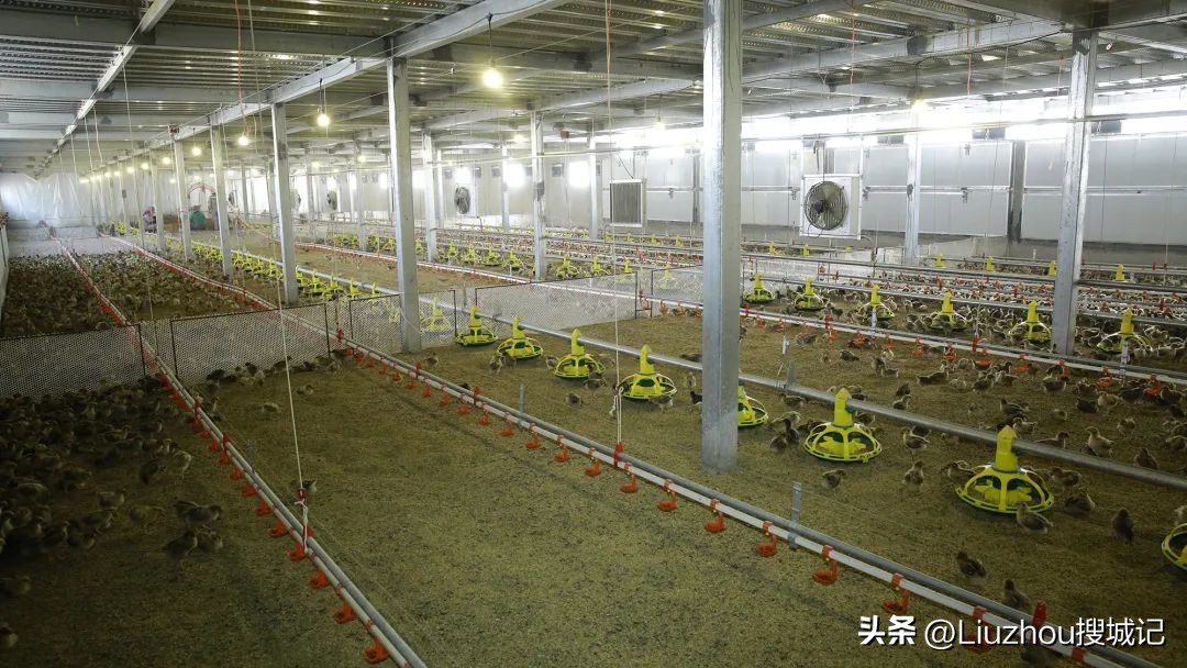 跟着广播看乡村,跟着老乡看乡村振兴