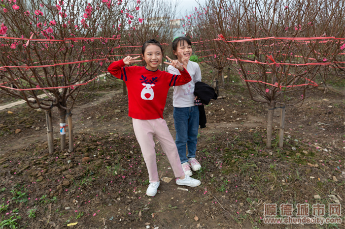 逛花街视频,逛花街的视频