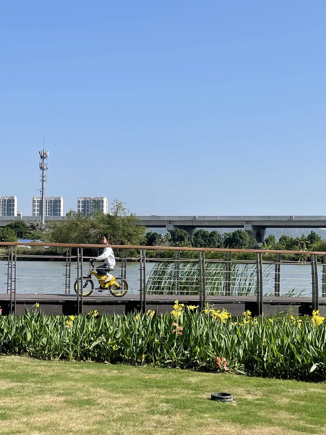 划艇露营,划艇露营视频大全