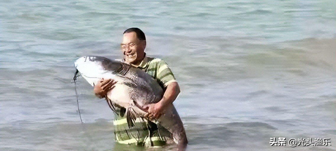 喝水就长肉，一次产卵百万枚，鱼类为何没能成为主要肉类？