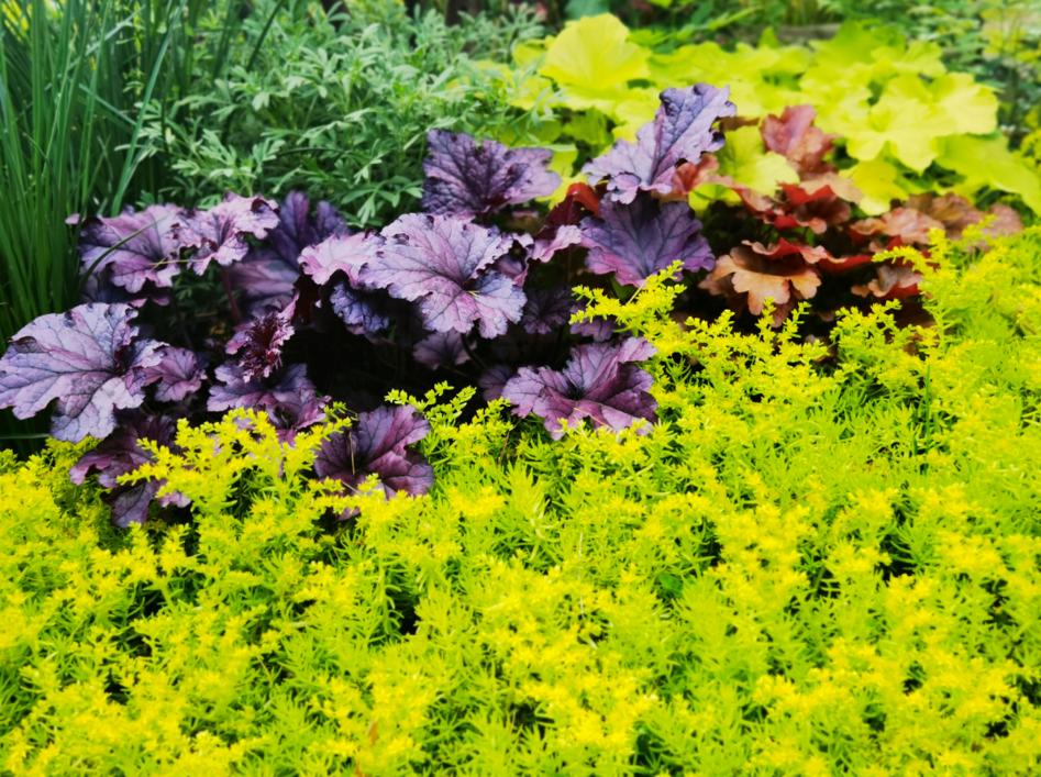 必去的花溪公园,假期余额不足游玩依旧火热