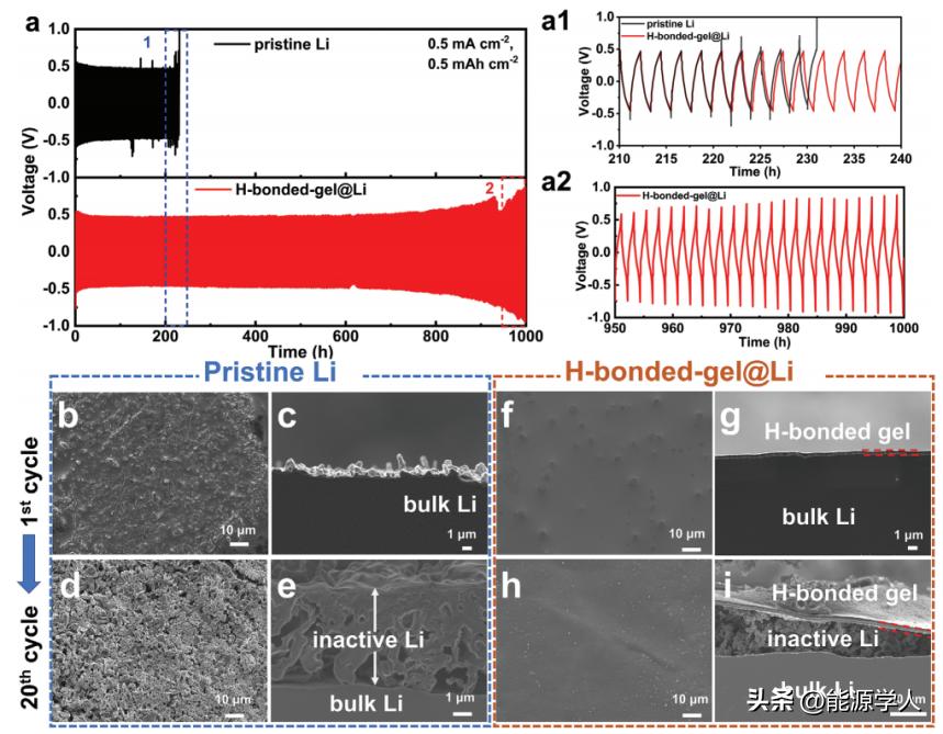 日本科学家开发新型水凝胶,日本科学家研究出超疏水材料