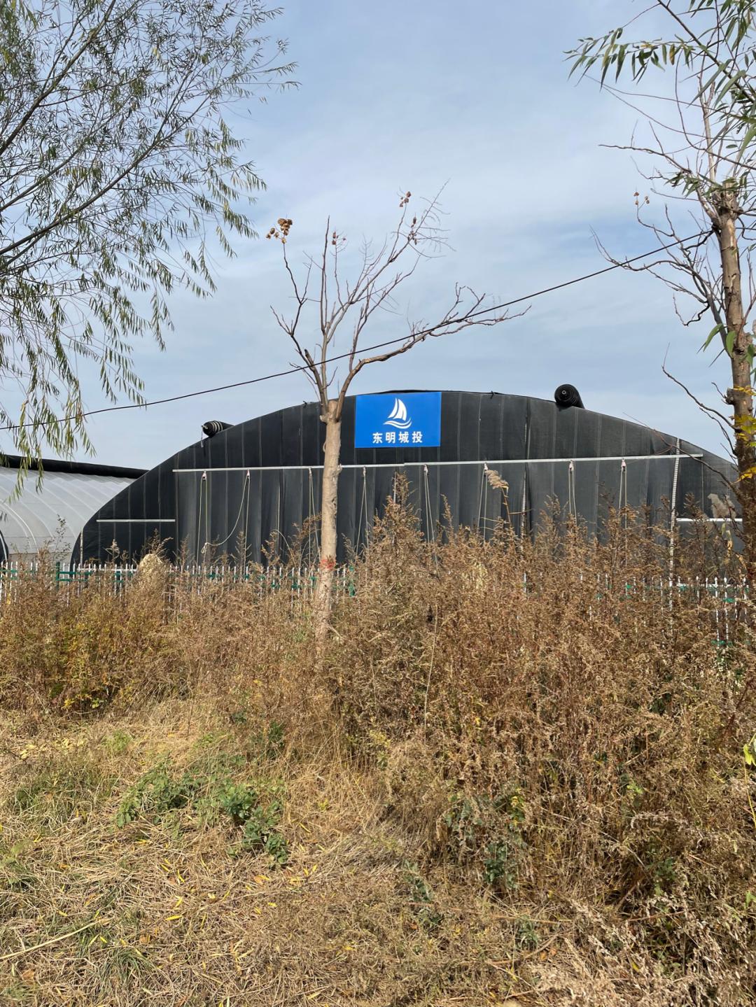 董董骑行山东,懂懂骑山东