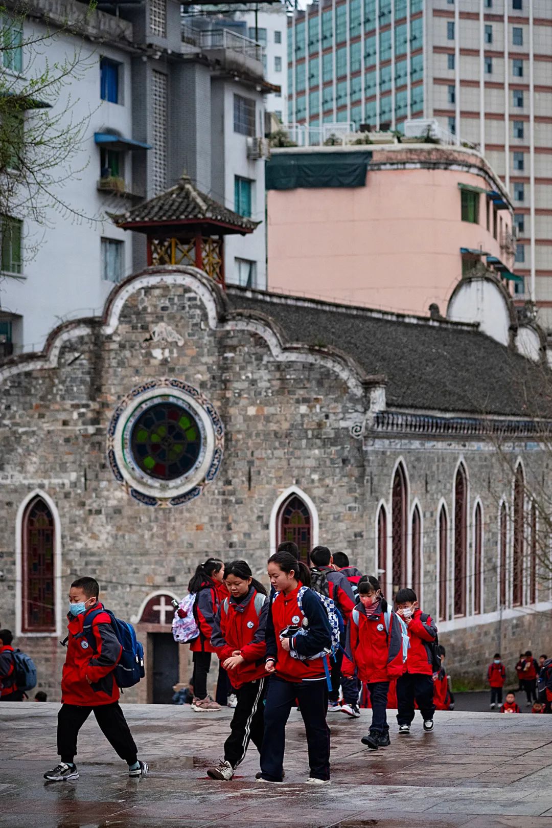 中国茶业历史悠久各种各样的茶叶,中国产茶的四大茶区