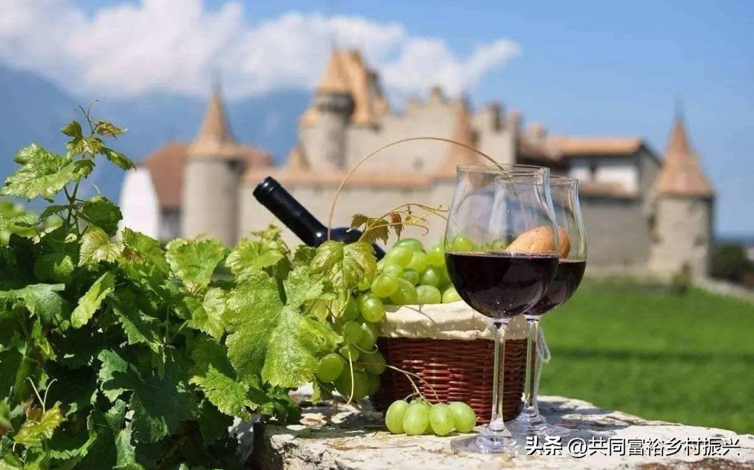 世界十大最顶尖的农产品强国,世界十大新型农业产品