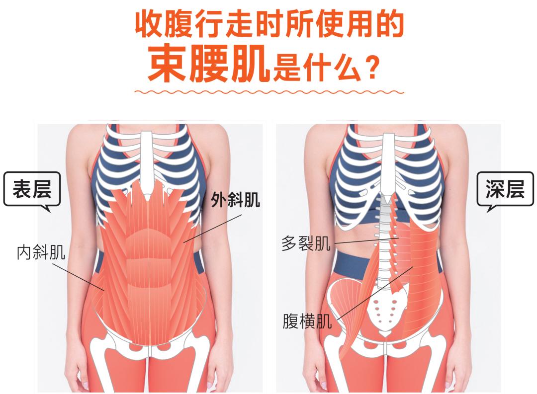 减小腹部赘肉最好的运动方法,有效消除腹部赘肉的锻炼方法