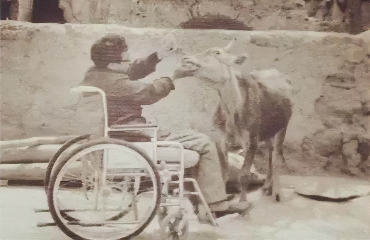 劝君读读史铁生,人生幸与不幸史铁生