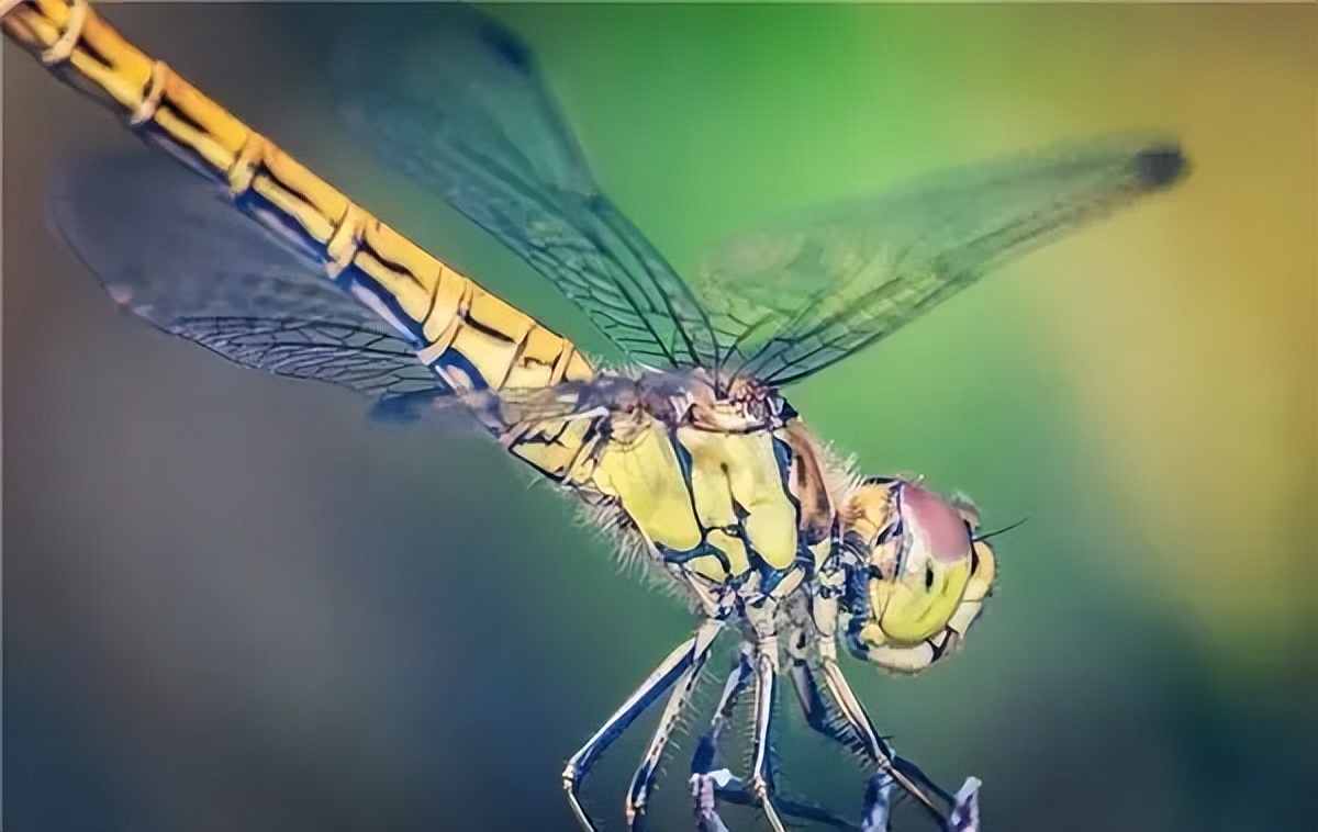 闺蜜失恋了哄闺蜜的句子,如果闺蜜生气了该怎么哄