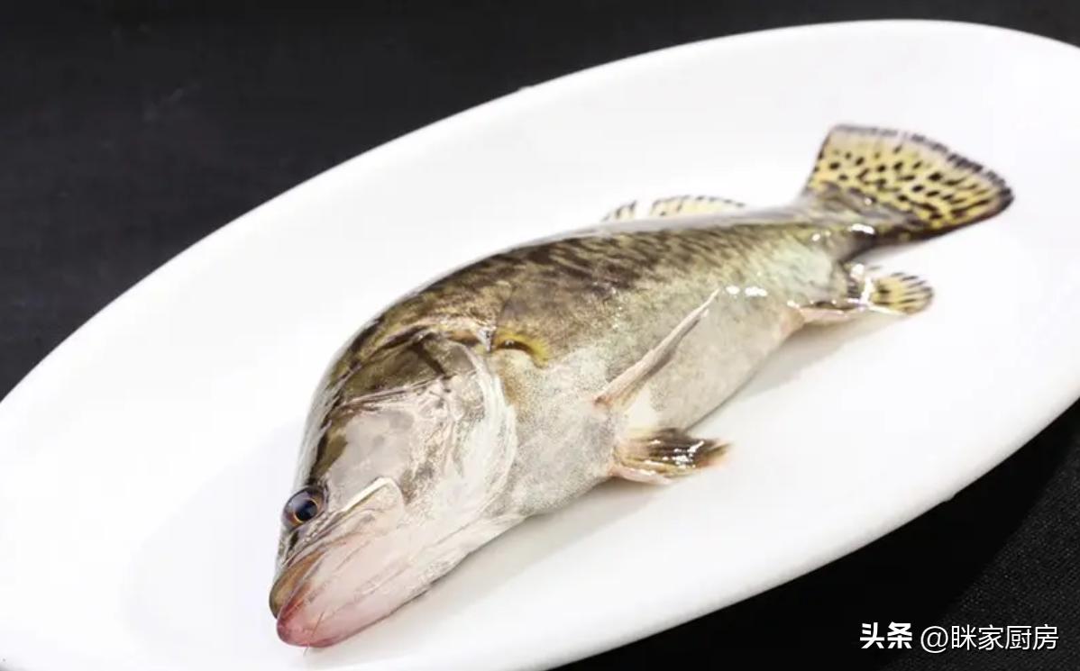 鱼肉怎么煮不油腻又好吃,鱼肉红烧怎么嫩滑