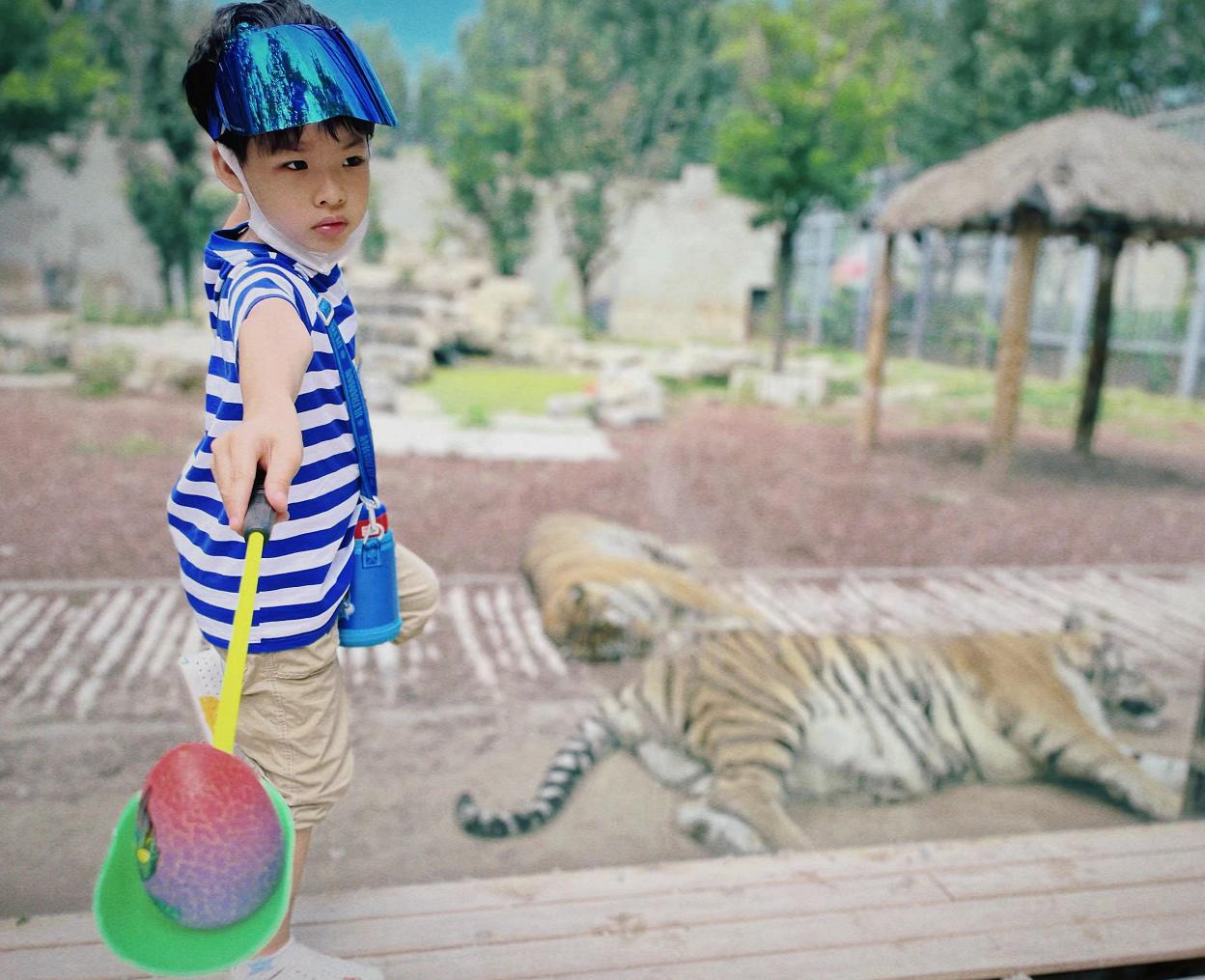 刘璇为什么不让儿子吃盐,刘璇不给儿子吃盐