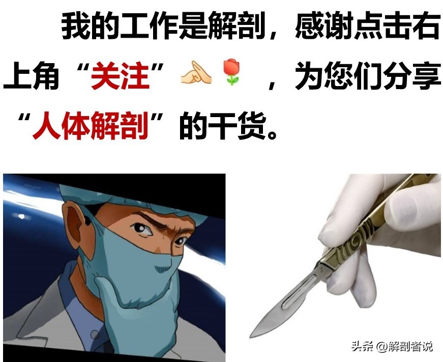 人体解剖尸体怕什么,人体解剖尸体的真相