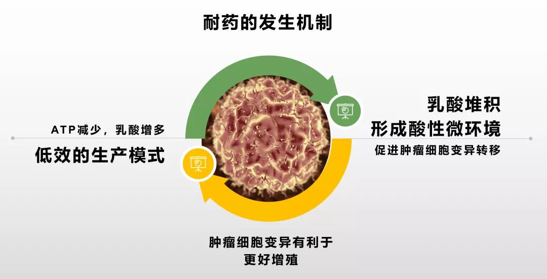 维生素c抗癌真的有效吗,维生素c增强免疫力防癌抗癌