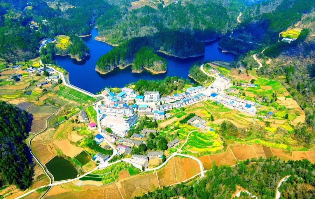 旺苍绿谷古道茶乡,旺苍千年古茶之乡