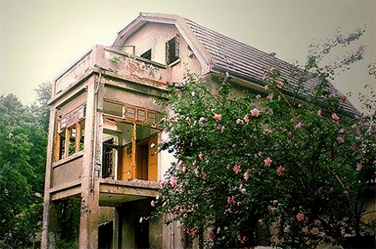 陆英九个子女的结局,陆英出嫁的视频