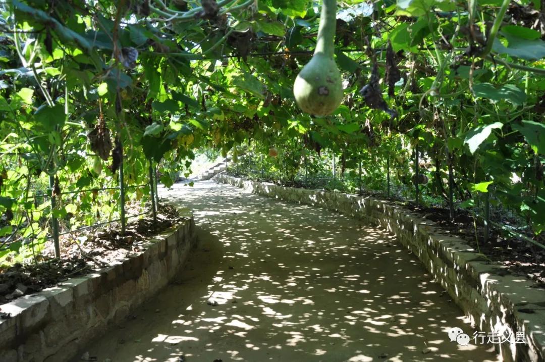 金秋十月看万山红遍层林尽染,金秋十月看红叶的诗句