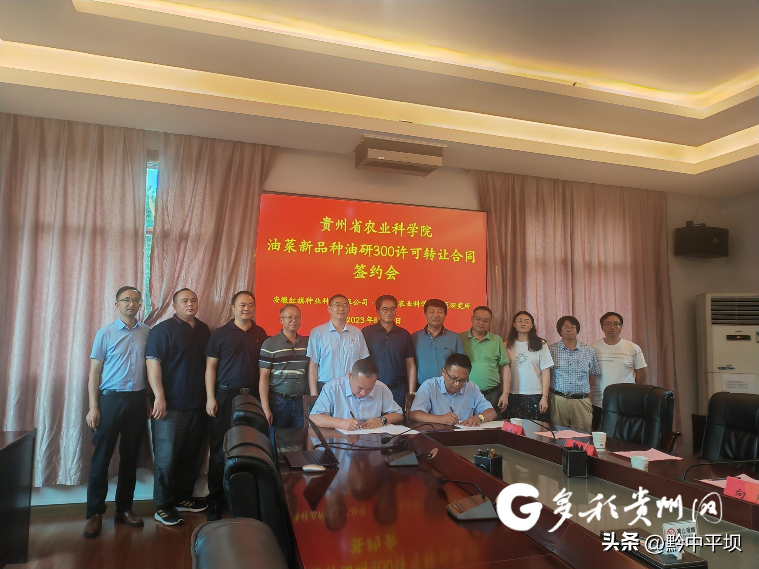 【农业“芯”力量】油研300：一粒价值千万的油菜籽