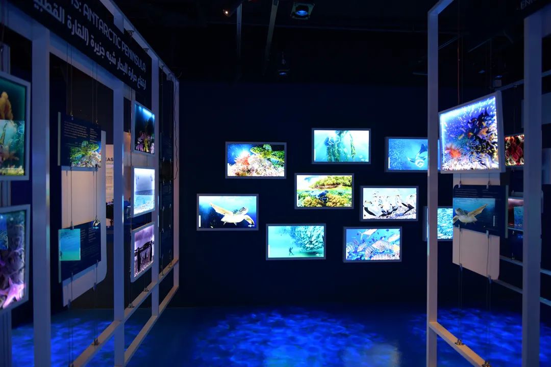 V世界｜夏天，在阿布扎比的11个“极致”体验