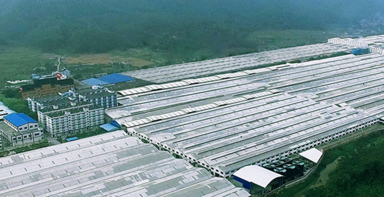 广东一线品牌陶瓷有哪些,一线陶瓷瓦品牌十大排名